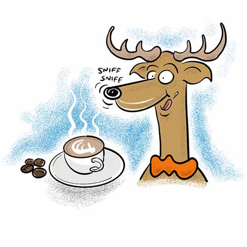 staining-antlers-coffee