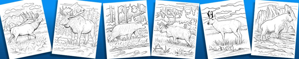 hunting-coloring-pages